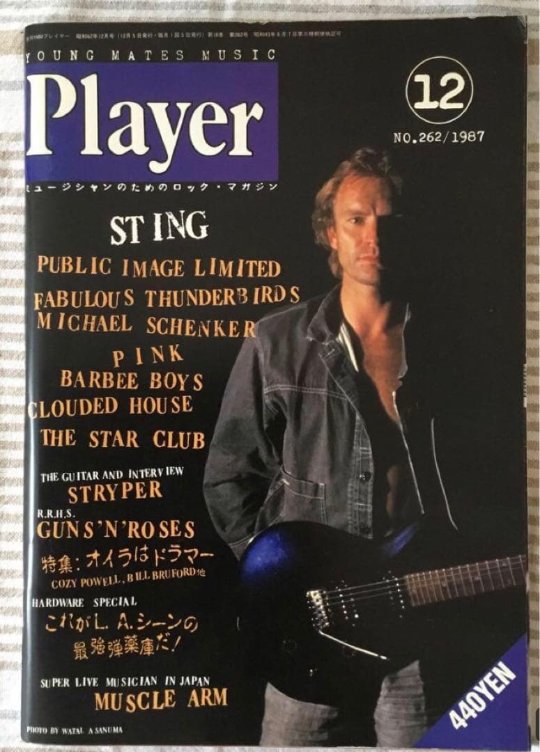 スティング　STING 洋楽雑誌&ビデオ　10点セット　コレクション