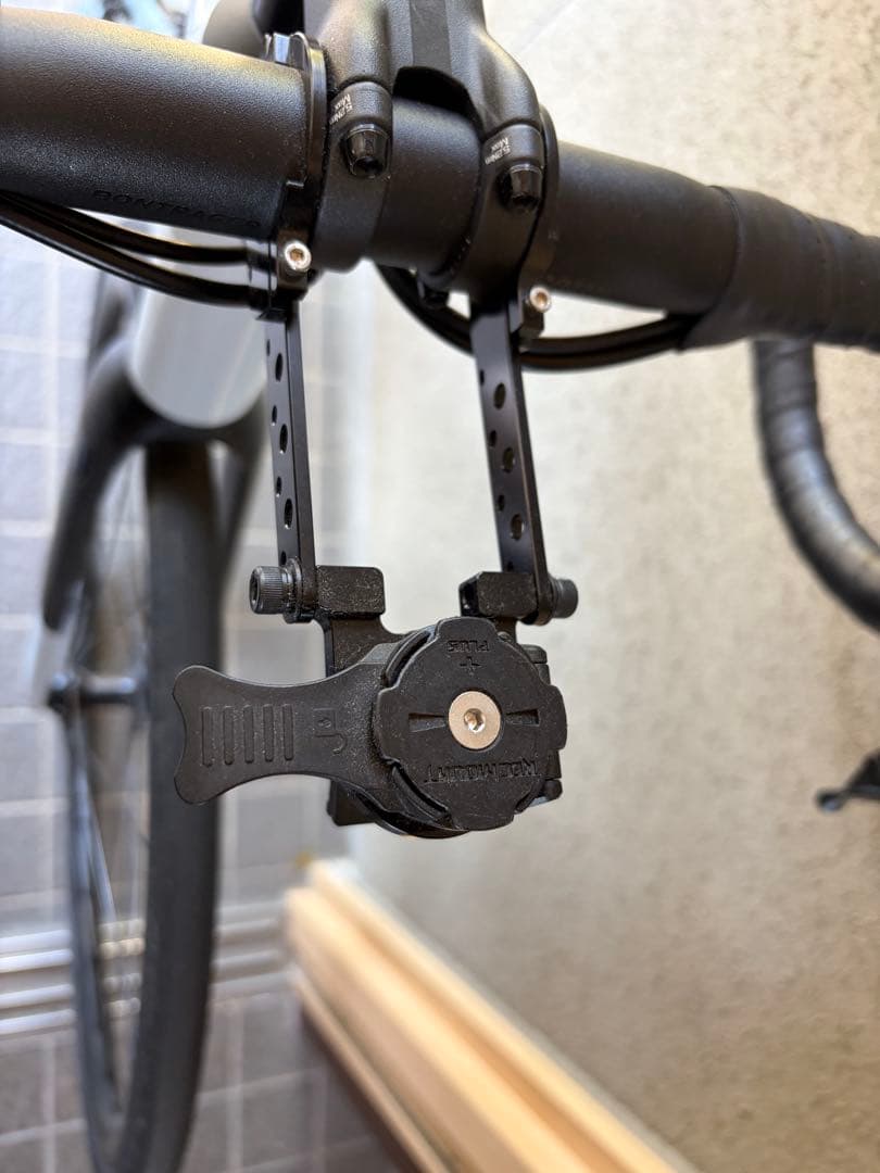 自転車本体 TREK Domane AL 2 Gen4