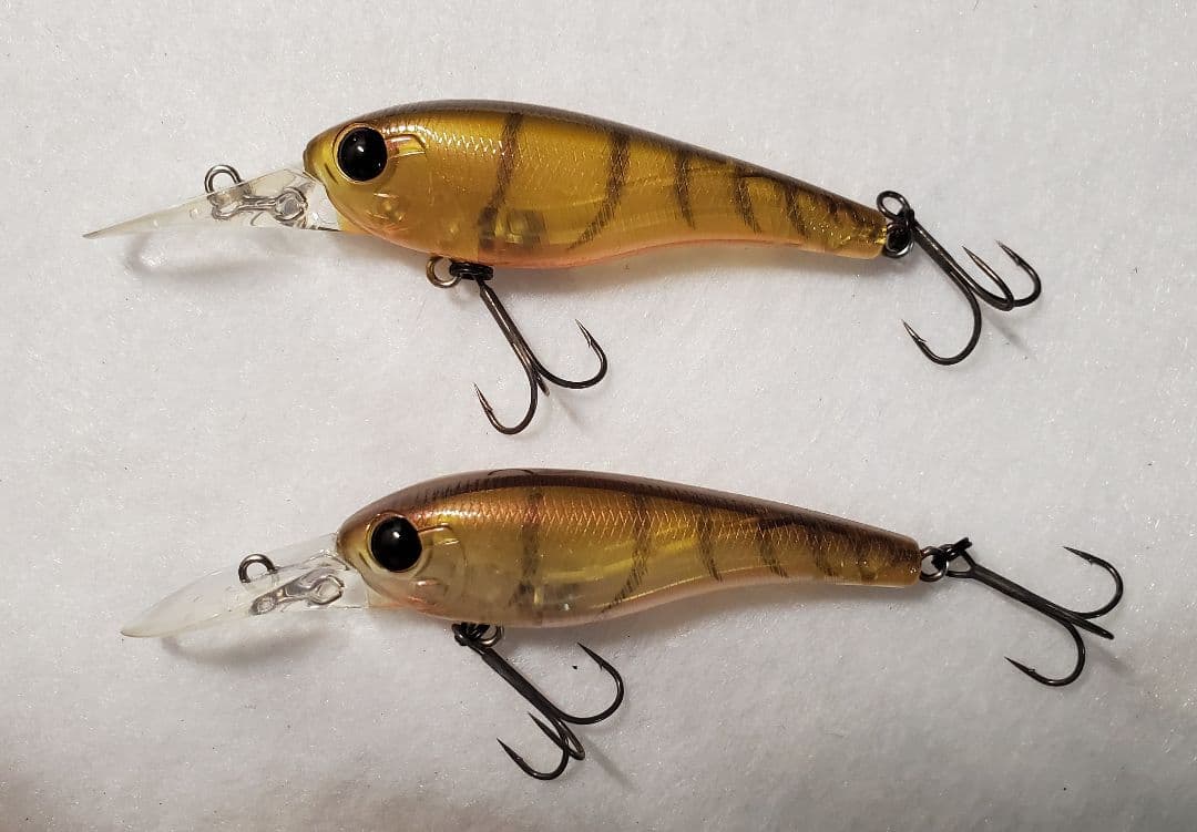 クオン　フローシャッド　セット