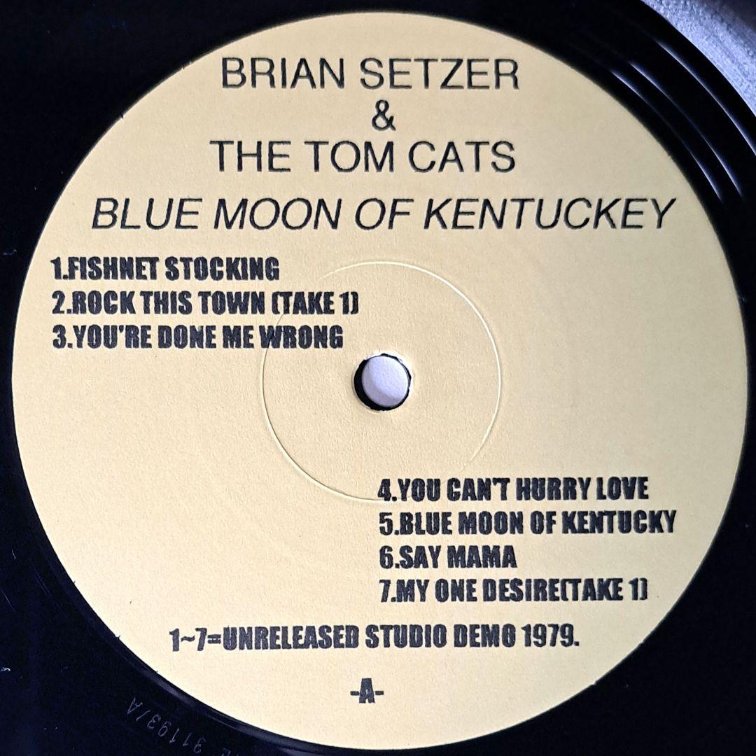 レア音源　BRIAN SETZER & THE TOM CATS　LP　レコード