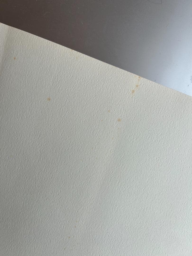 建築の詩人 カルロ・スカルパ knoll トビア アフラ gae aulenti