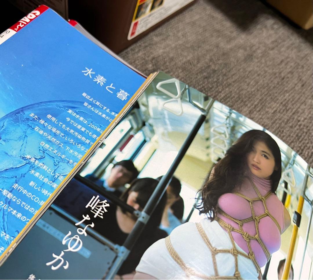 【'2014年14冊】週刊ＳＰＡ！【サブカル誌では収まらない 時代を映す鏡】