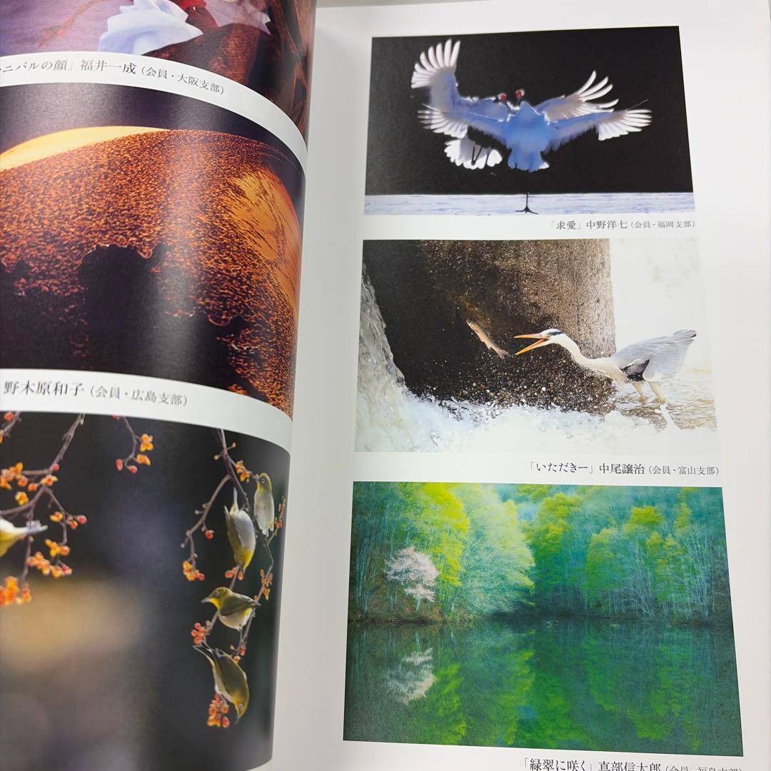 第73回展 二科会写真部作品集2025 NIKA