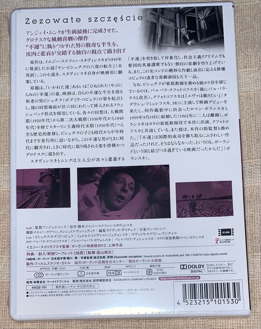 不運　DVD 廃盤　新品未開封