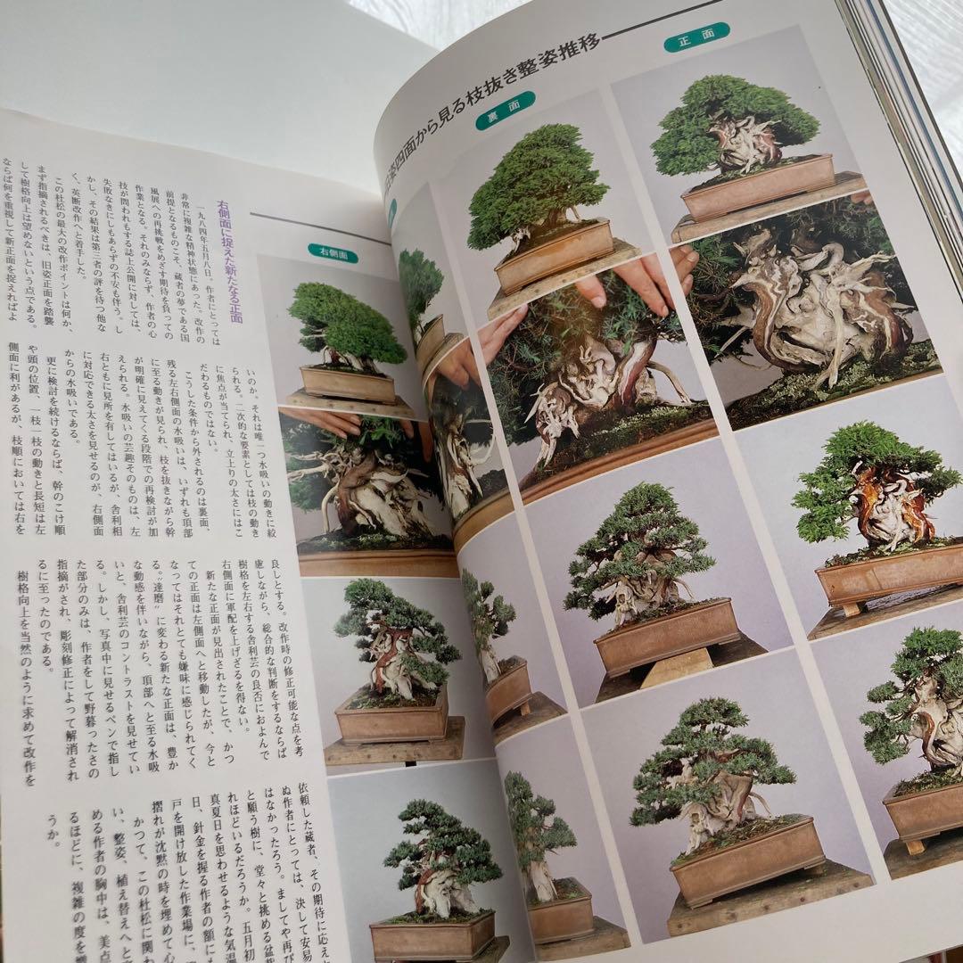 月刊近代盆栽別冊　現代盆栽技術の神髄　木村正彦の世界PART2