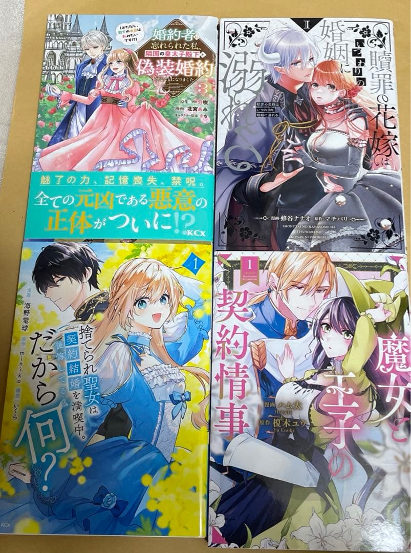 婚約者に忘れられた私、隣国の皇太子殿下と偽装婚約することになりました3