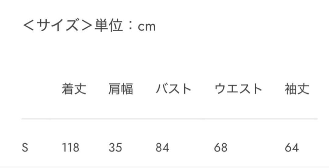 【週末限定】夜想曲を奏でる刺繍クラシカルワンピース　ManusMachina