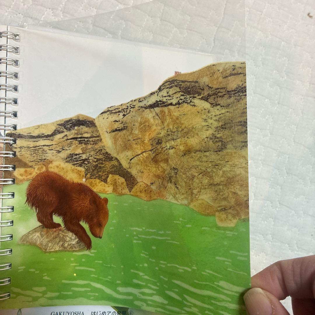 はじめての発見　岳陽舎　20冊　知育　楽しく学ぶ　絵本　誕生日　お祝い