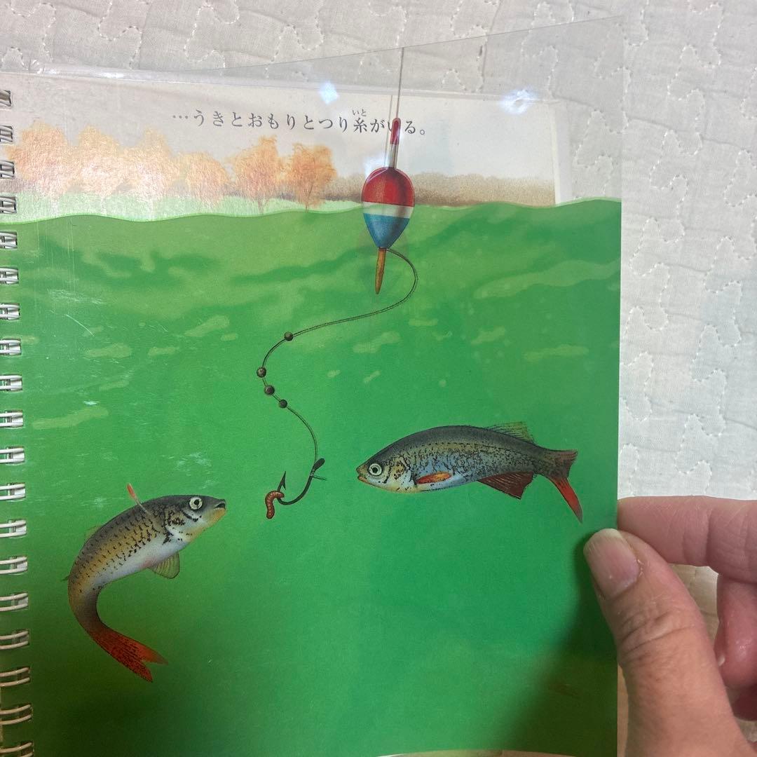 はじめての発見　岳陽舎　20冊　知育　楽しく学ぶ　絵本　誕生日　お祝い