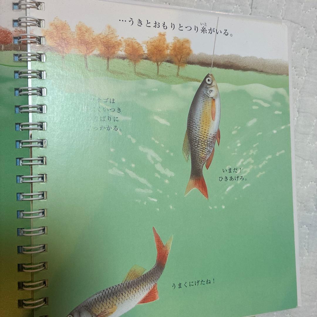 はじめての発見　岳陽舎　20冊　知育　楽しく学ぶ　絵本　誕生日　お祝い