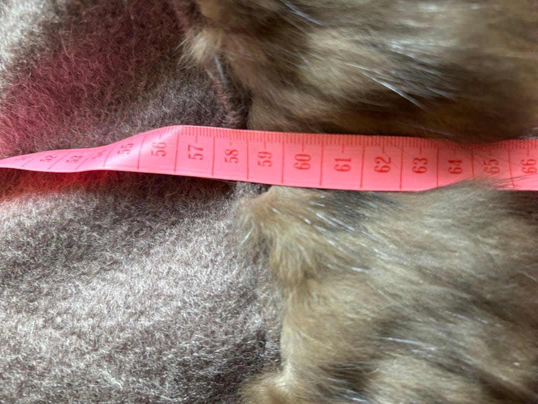 Faviora MOONBAT カシミヤ　ケープ　リアルファー　ファビオラ　最終