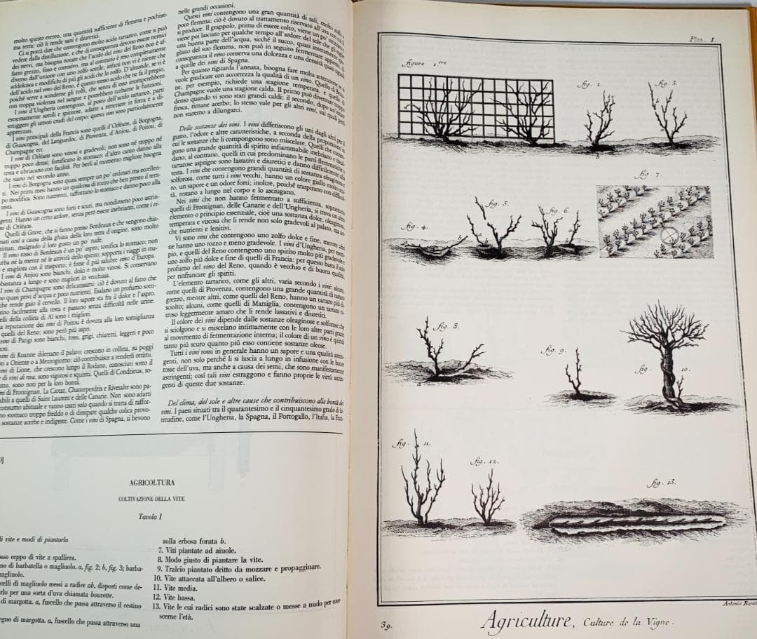 18世紀啓蒙時代◆『食と栄養』の百科事典