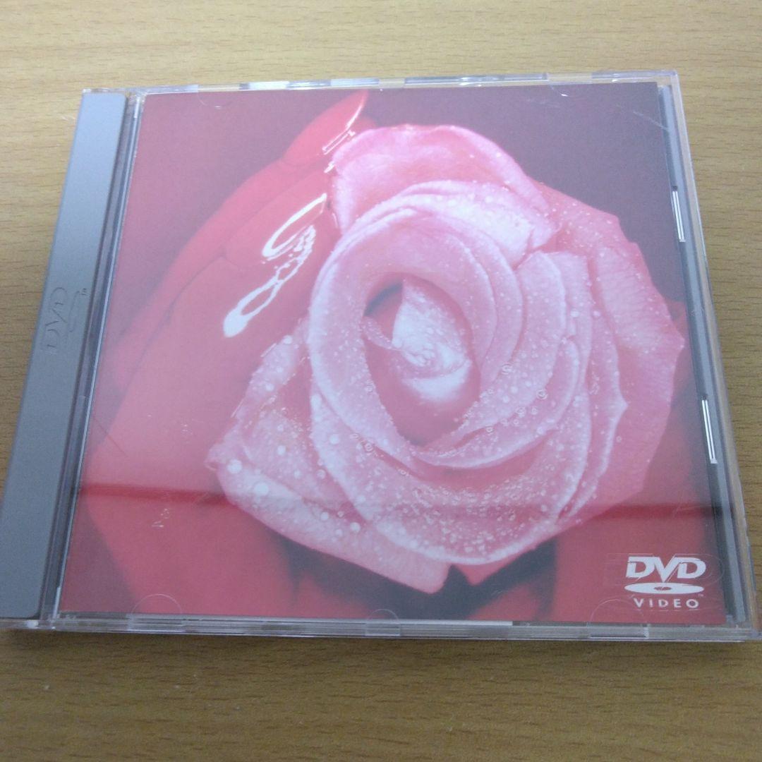 SMAP　ライブDVD9個　DVD1個　まとめ売り