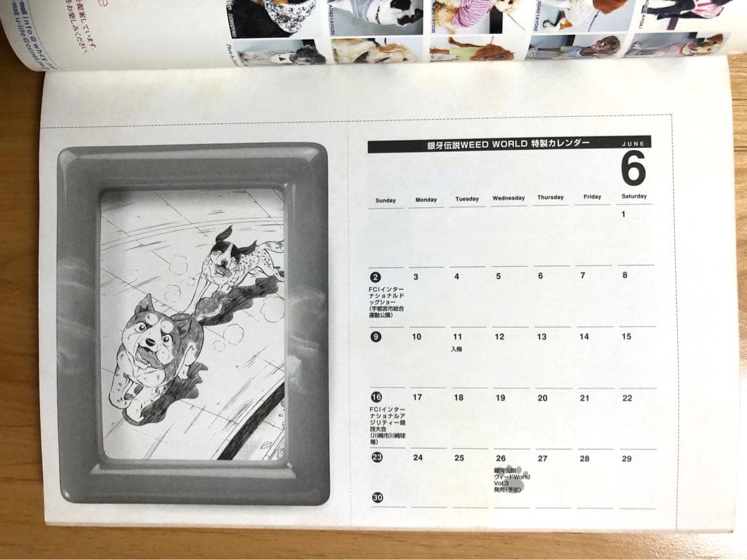 【激レア・全付録あり】銀牙伝説ウィードWorld 全5巻セット　別冊漫画ゴラク