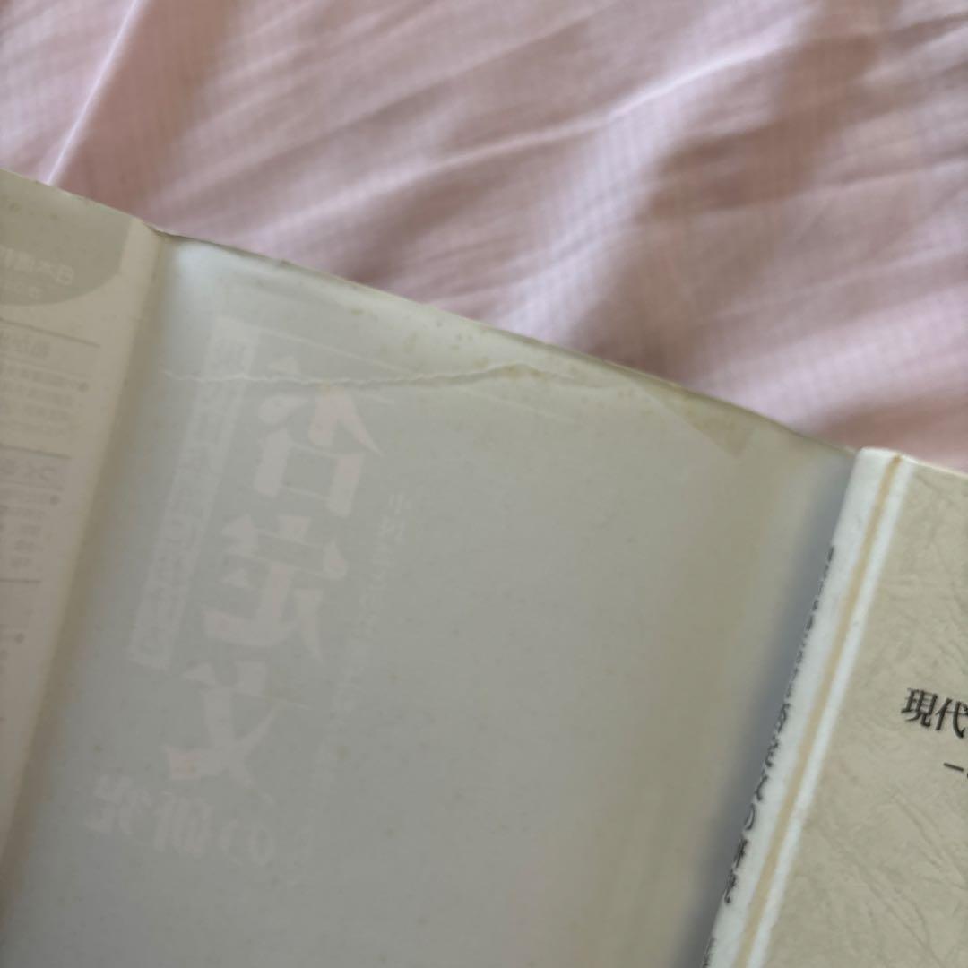 現代日本語における否定文の研究―中国語との対照比較を視野に入れて(帯付き)絶版本
