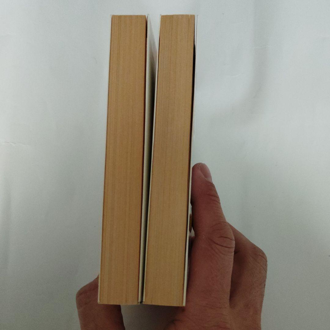 魔術師の挑戦 1・2巻セットアドベンチャーゲームブック