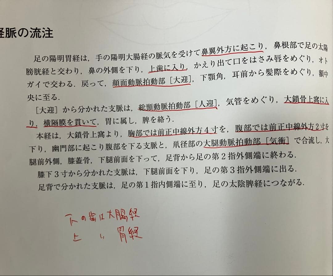 鍼灸教科書 1〜2年次12冊セット+おまけ付き