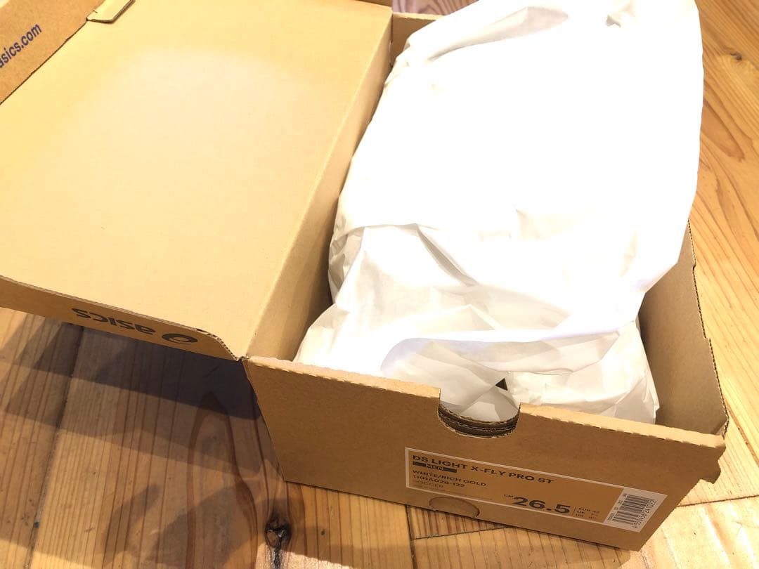 DS LIGHT X-FLY PRO STサイズ26.5