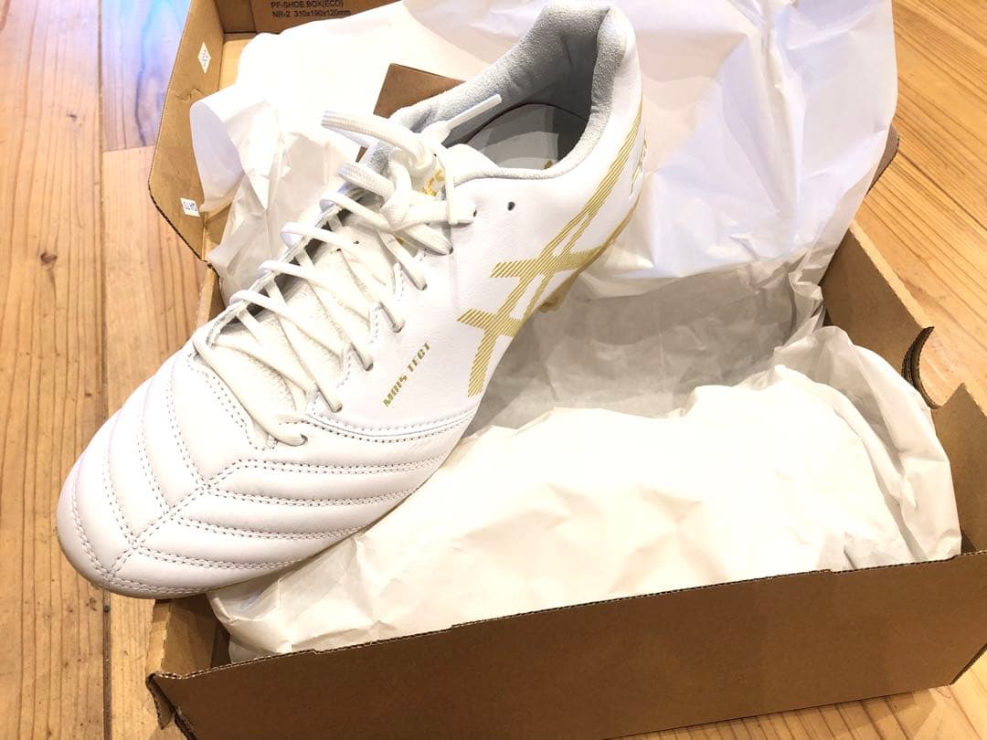 DS LIGHT X-FLY PRO STサイズ26.5