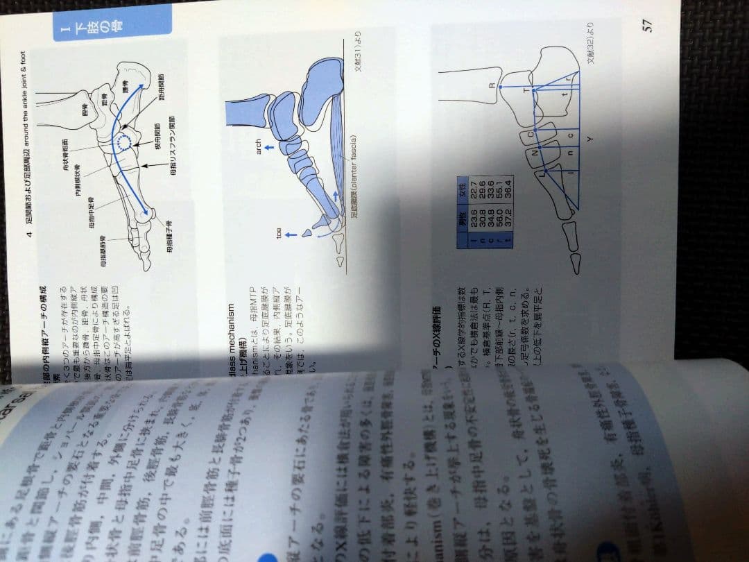 新人　理学療法士　作業療法士　整形外科ナビゲーション　触診技術2冊セット　まとめ