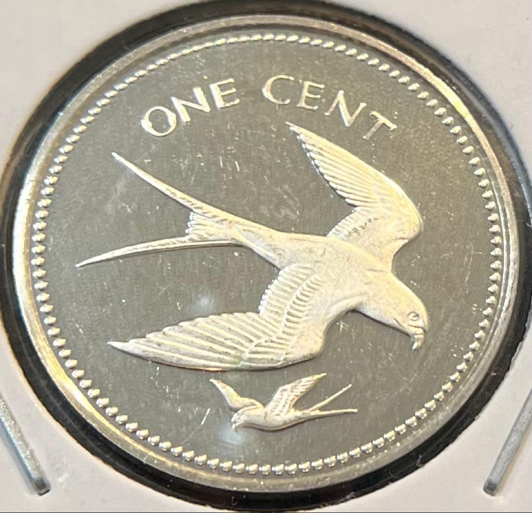 さき　Saki’s House