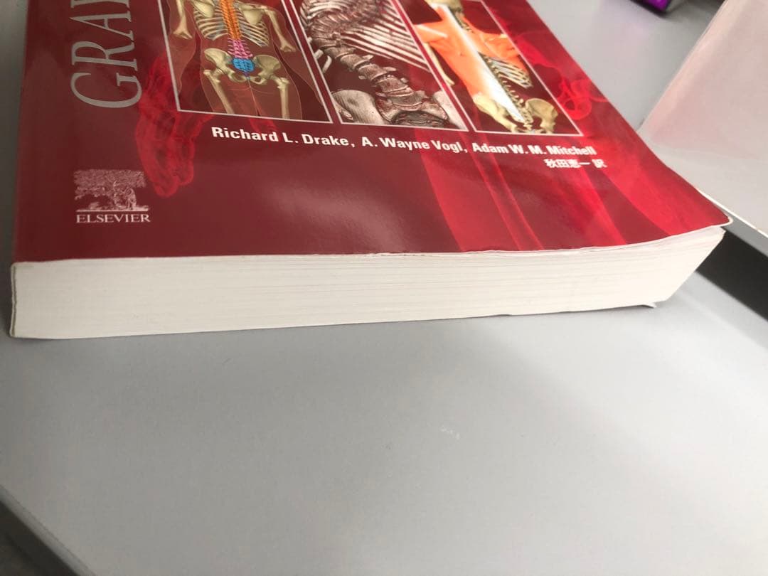 グレイ解剖学　第5版