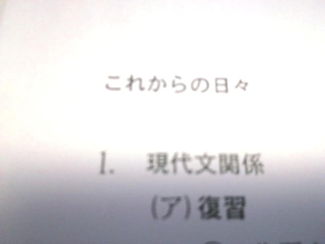 鉄緑会　恩田先生らの東大・難関大現代文対策冊子とおまけ冊子　国語　駿台　河合塾