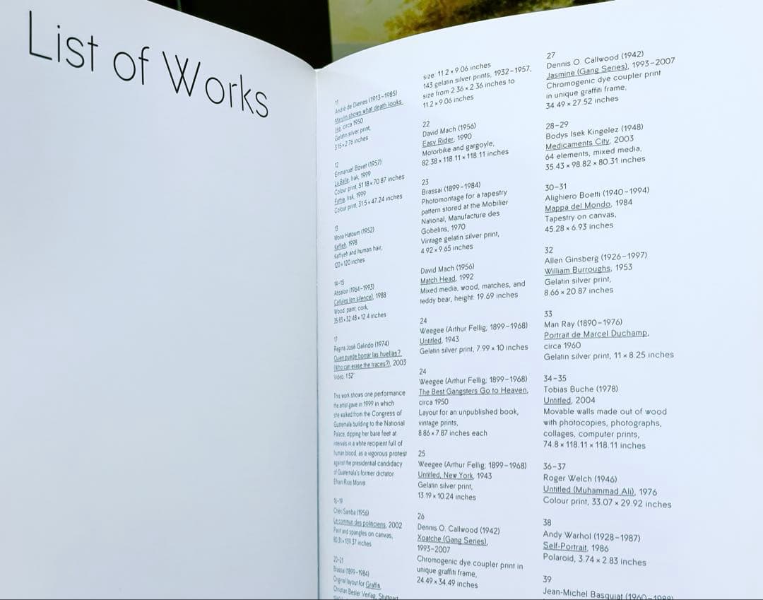 希少！限定！美品アニエス・ベーのアートブック洋書バスキア、フューチュラ等　写真集