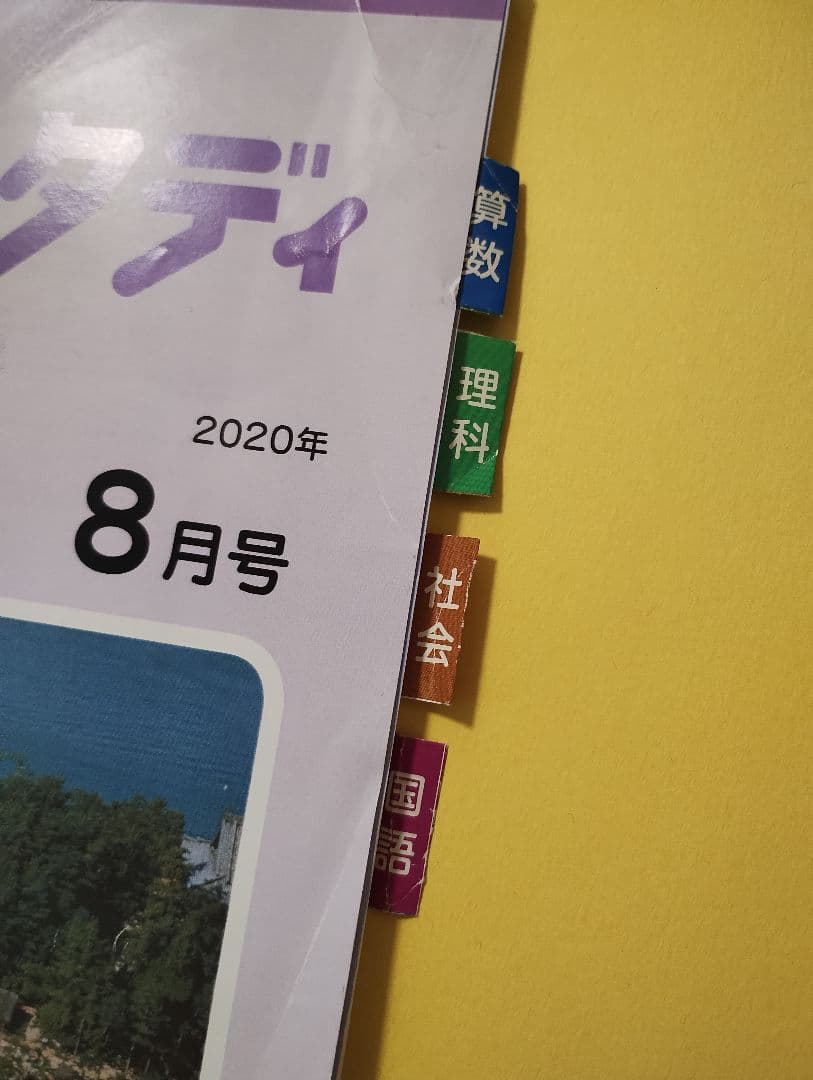 Z会 小6 エブリスタディ ハイレベル1年分