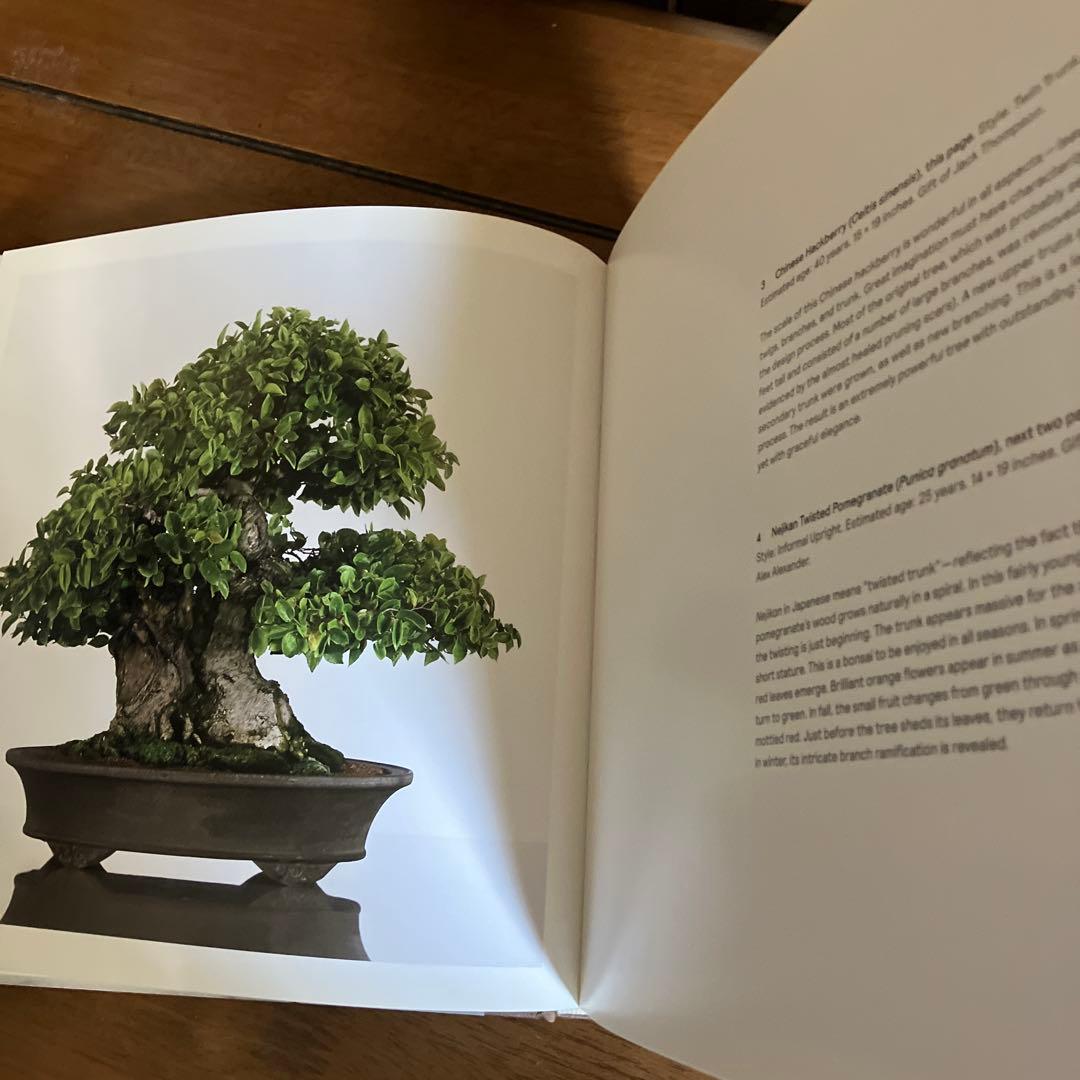 Bonsai: A Patient Art 洋書