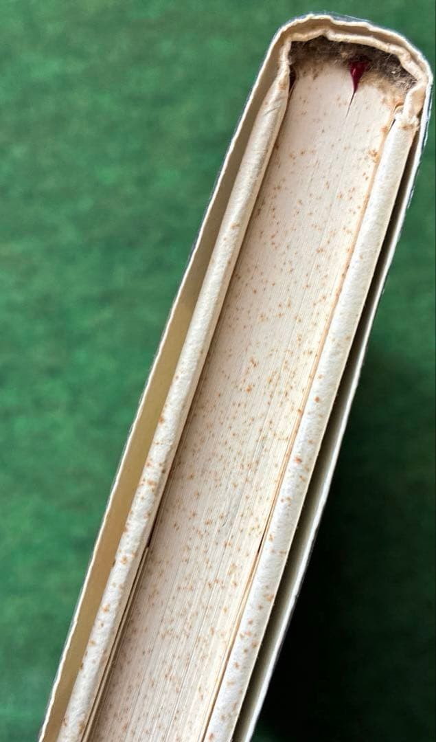 そこのみにて光輝く　佐藤泰志　初版本　単行本　河出書房新社