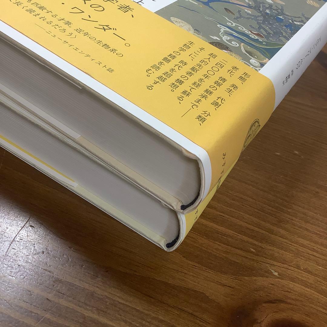 アリストテレス 生物学の創造 上・ 下　アルマン・マリー・ルロワ美本