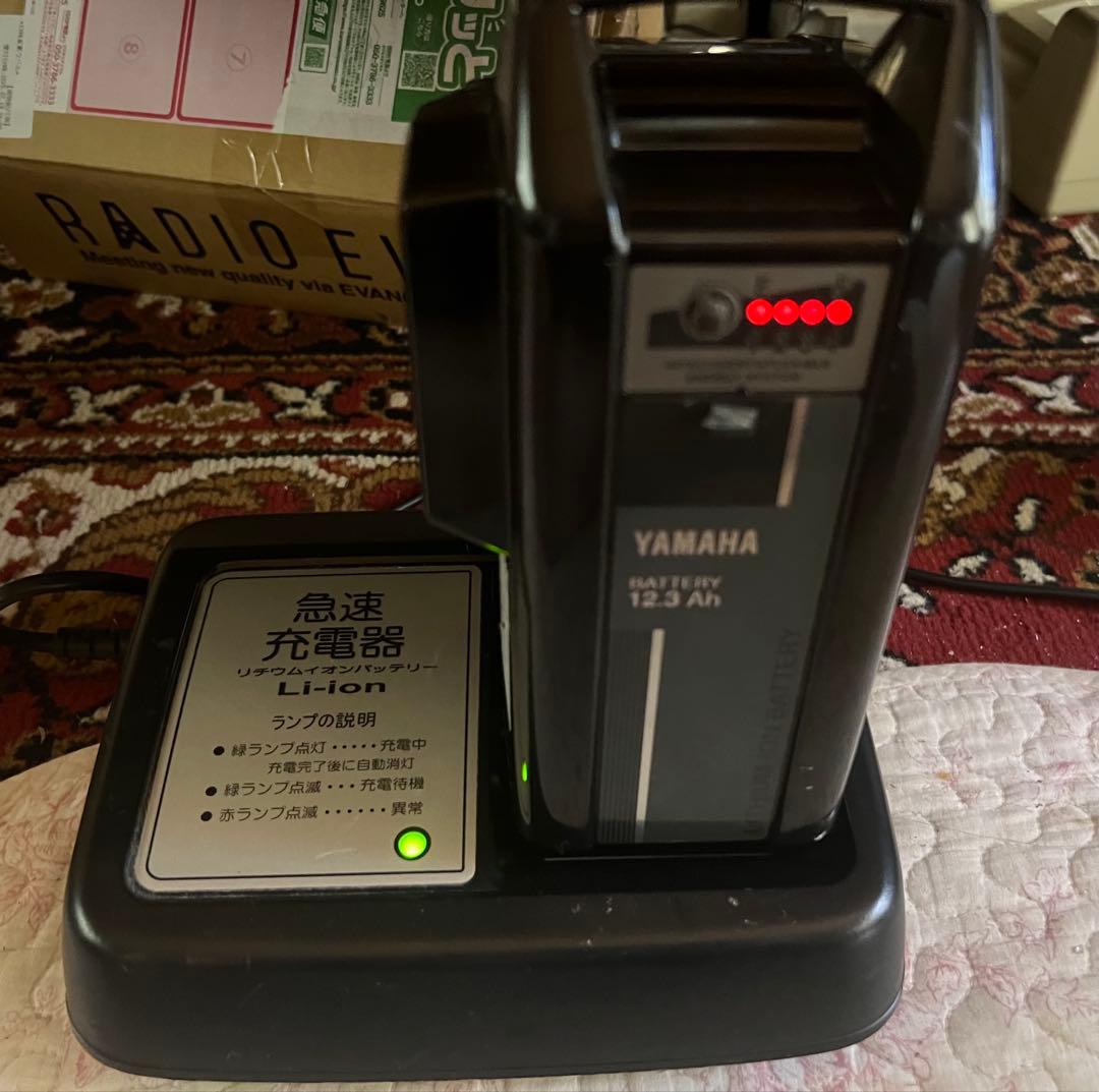 ブリジストン電動アシスト自転車アンジェリーノ本体 関東圏配送可能20インチ