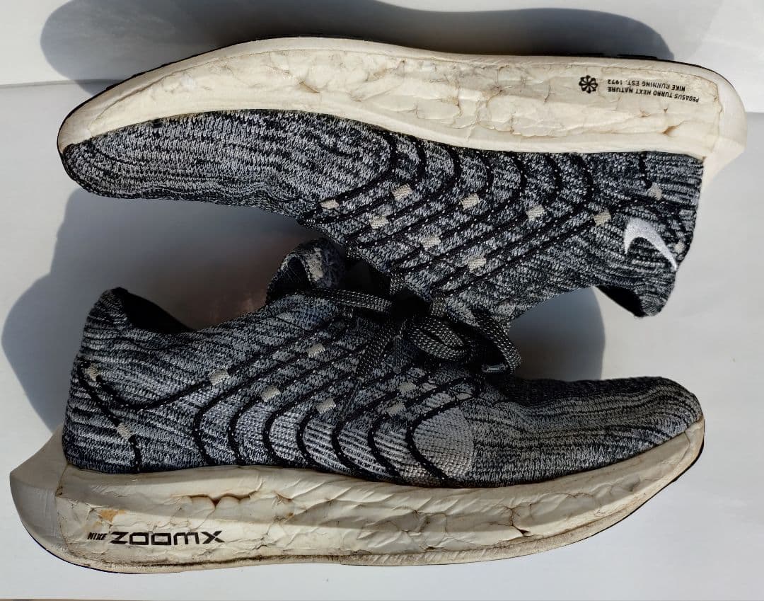 ASICS ソーティマジックRP6/NIKEペガサスターボネクストネイチャー