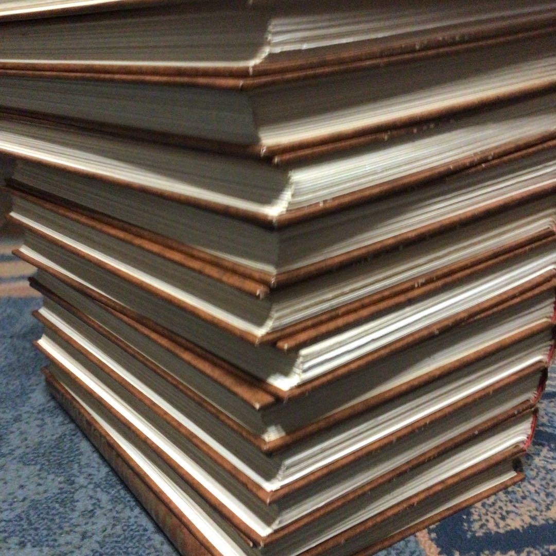 ファブリ世界名画全集 全12巻セット