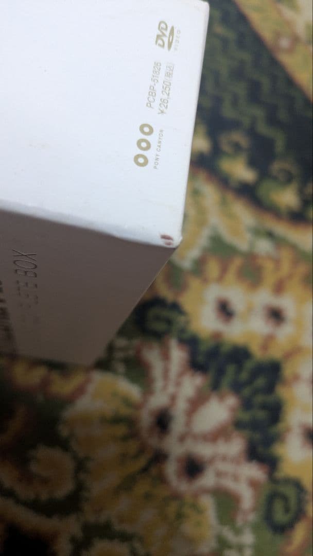 ミュージック Shizuka Kudo THE LIVE DVD COMPLETE BOX