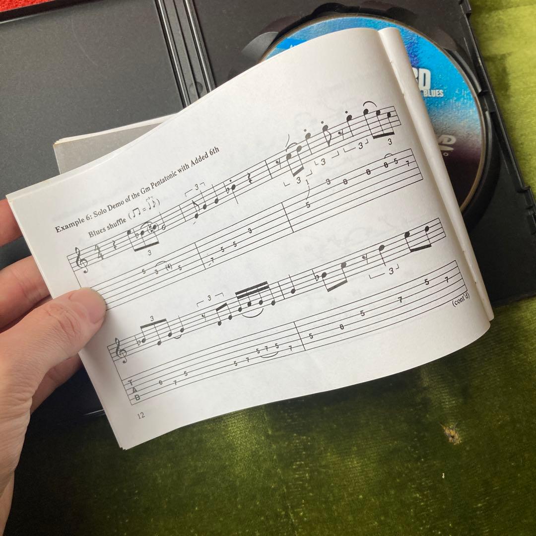 教則DVDロベン・フォード(ROBBEN FORD)ブルース