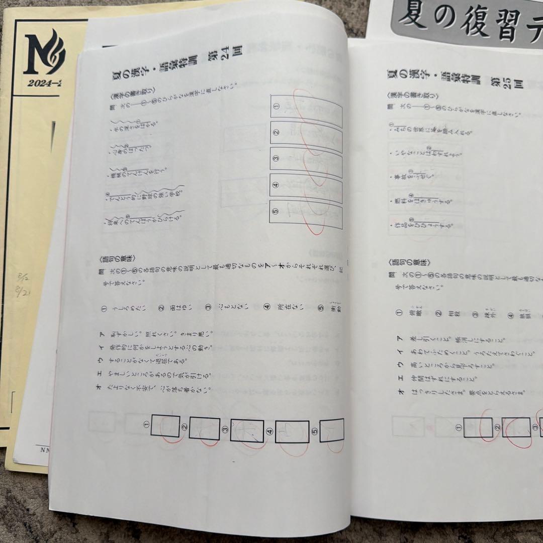 絶対合格！NN志望校別コース　早大学院　日曜講座 前期（4月から7月まで）４科