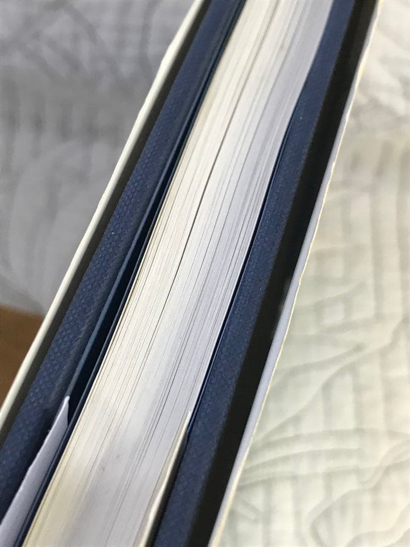 画集「ANNORA SPENCE : PAINTINGS AND PRINTS」