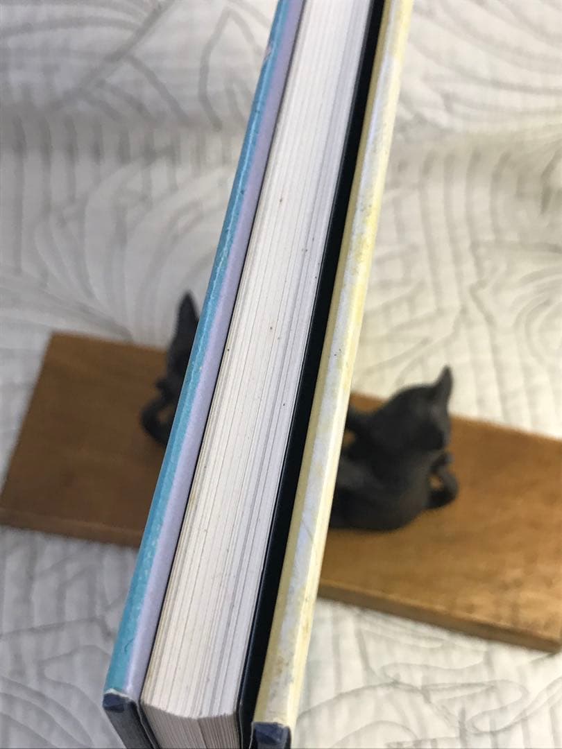 画集「ANNORA SPENCE : PAINTINGS AND PRINTS」