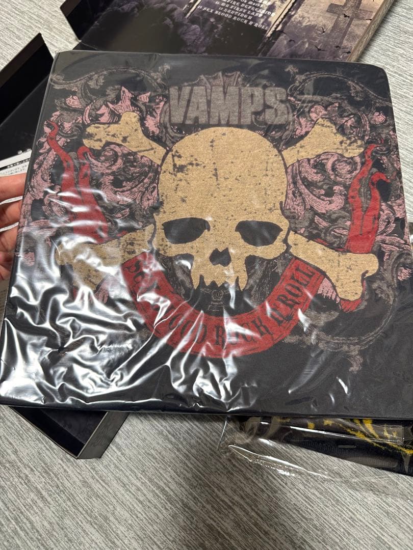 VAMPS BEST ALBUM 初回限定盤B