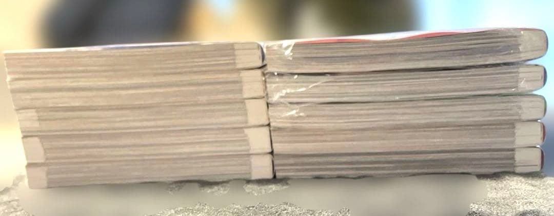 ある日、お姫様になってしまった件について 1-10巻