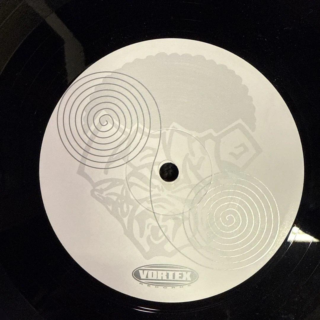 Vortex Twigy,lamp eye 12インチ2枚セット