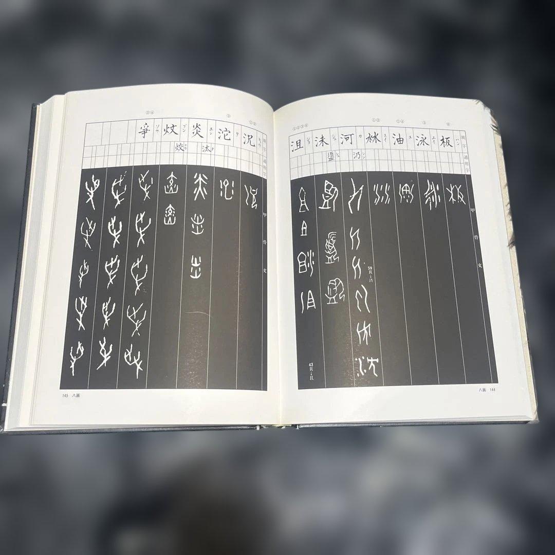 甲骨文字字典 小林石寿編