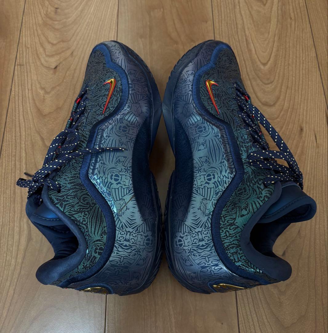 【完売品】ナイキ レブロン 23 EP