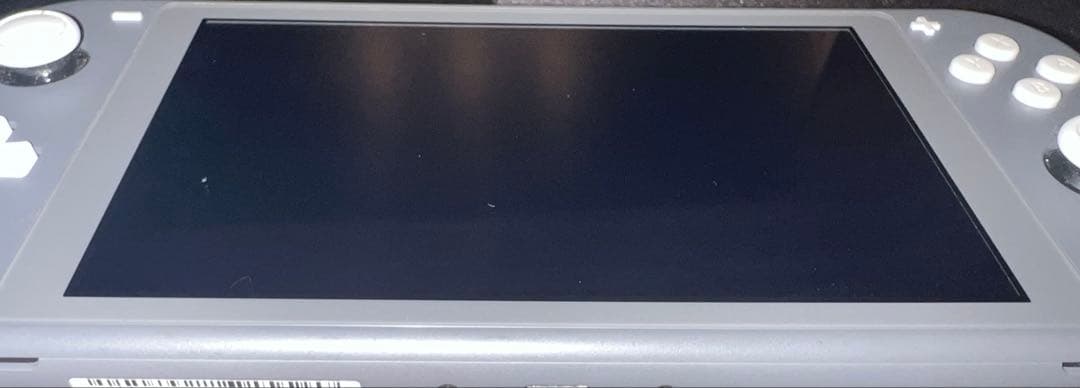 naonao Nintendo Switch Lite グレー　中古