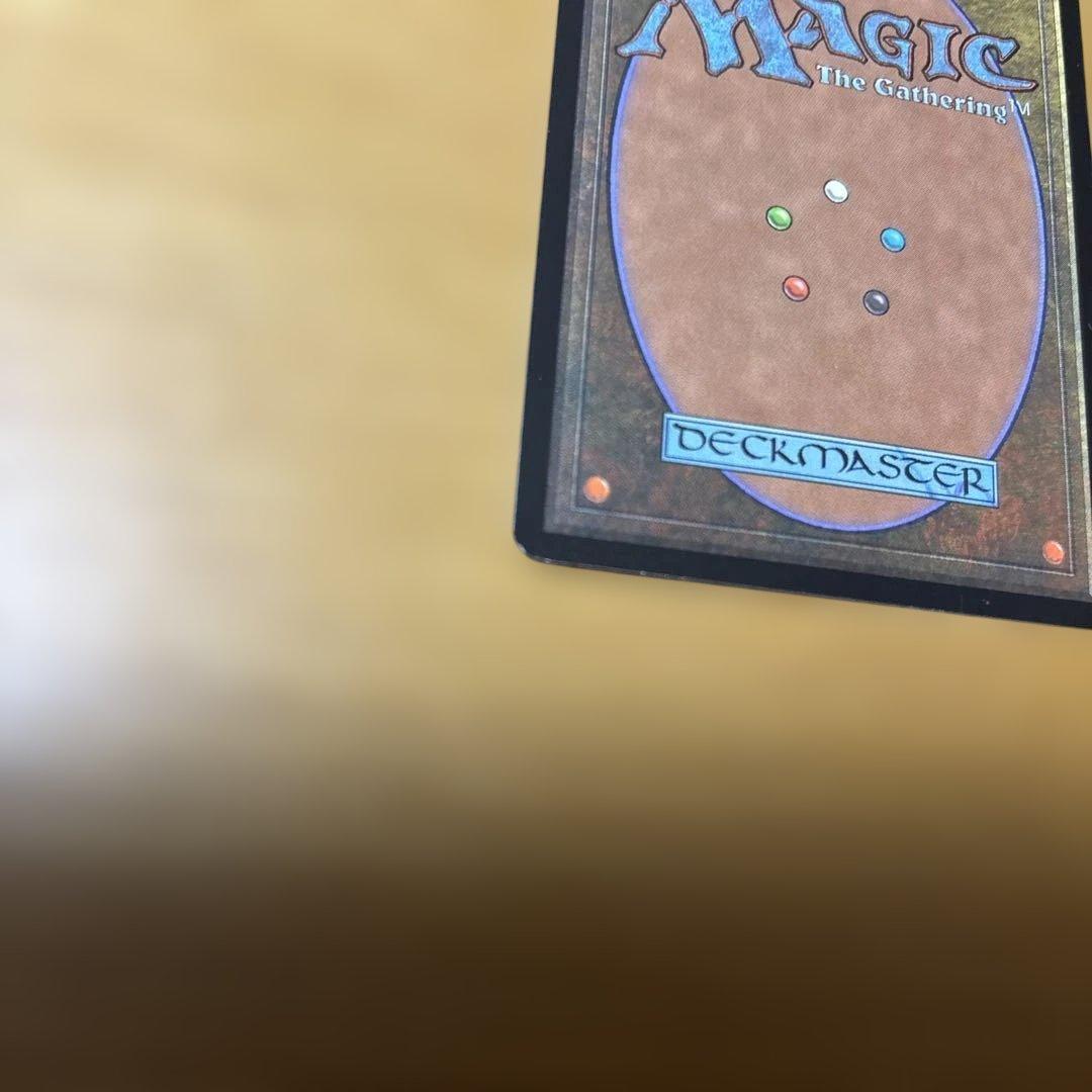 MTG 補充　2枚セット