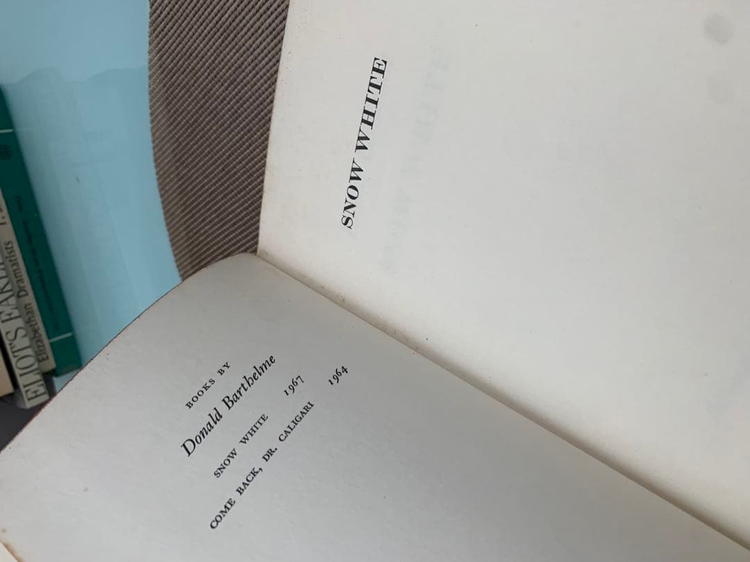 希少　Donald Barthelme  White