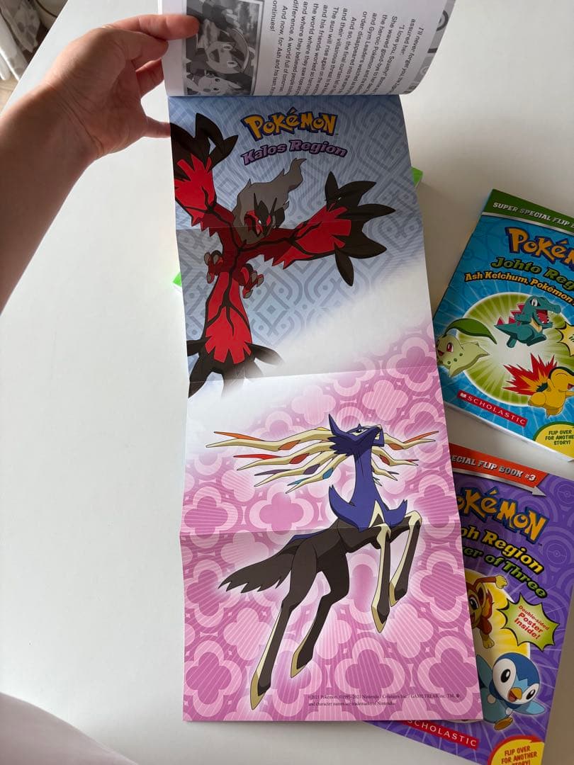 Pokemon English Chapter Book (4冊) セット