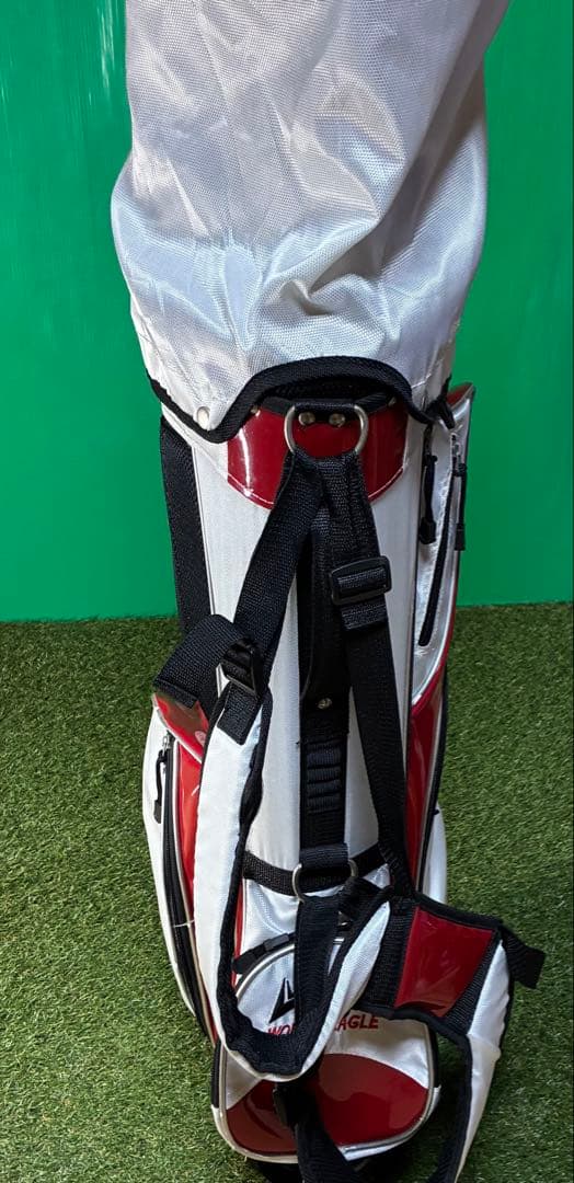 ワールドイーグル　F-01a メンズクラブセット